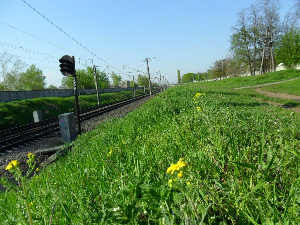 Корсунці з panoramio.com - Корсунцы