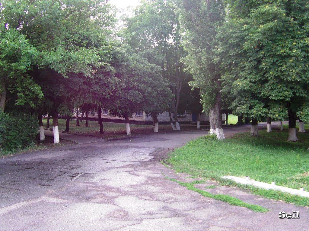 Орли з panoramio.com - Орли