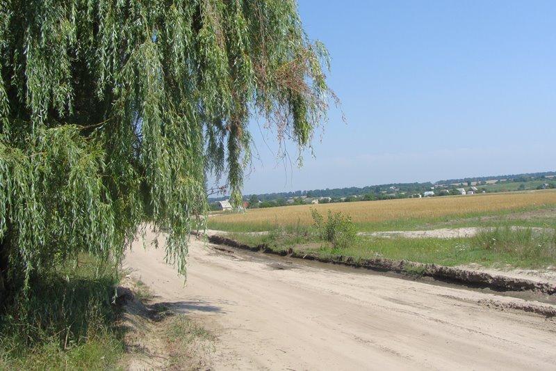 Мотовилівська Слобідка з panoramio.com - Мотовилівська Слобідка