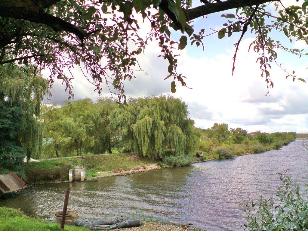 Бережани з panoramio.com - Бережаны