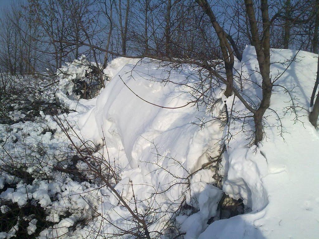 Мачухи з panoramio.com - Мачехи