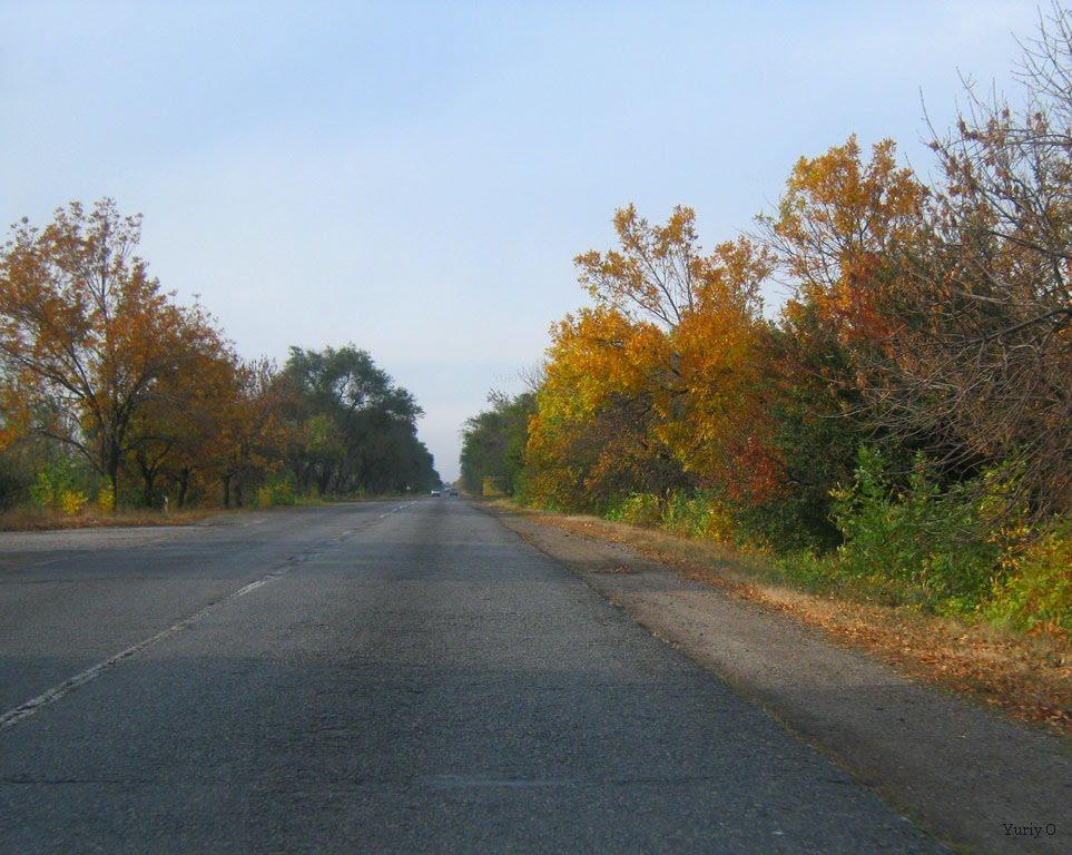 Новоселівка з panoramio.com - Новоселівка