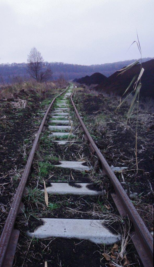 Мале Старосілля з panoramio.com - Мале Старосілля