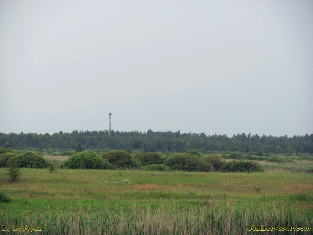 Нівецьке з panoramio.com - Нивецкое