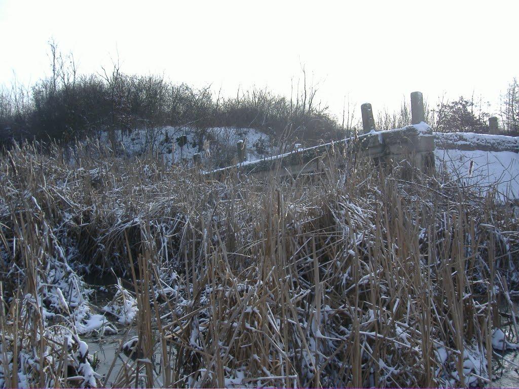 Велика Паладь з panoramio.com - Velyka Palad