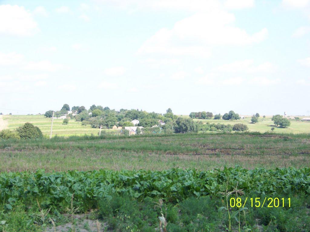 Шклинь Другий з panoramio.com - Шклинь Другий