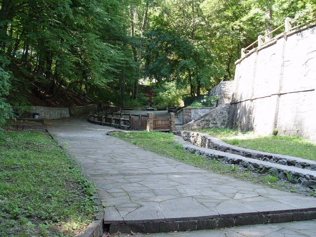 Розовий з panoramio.com (ч.2) - Розовий