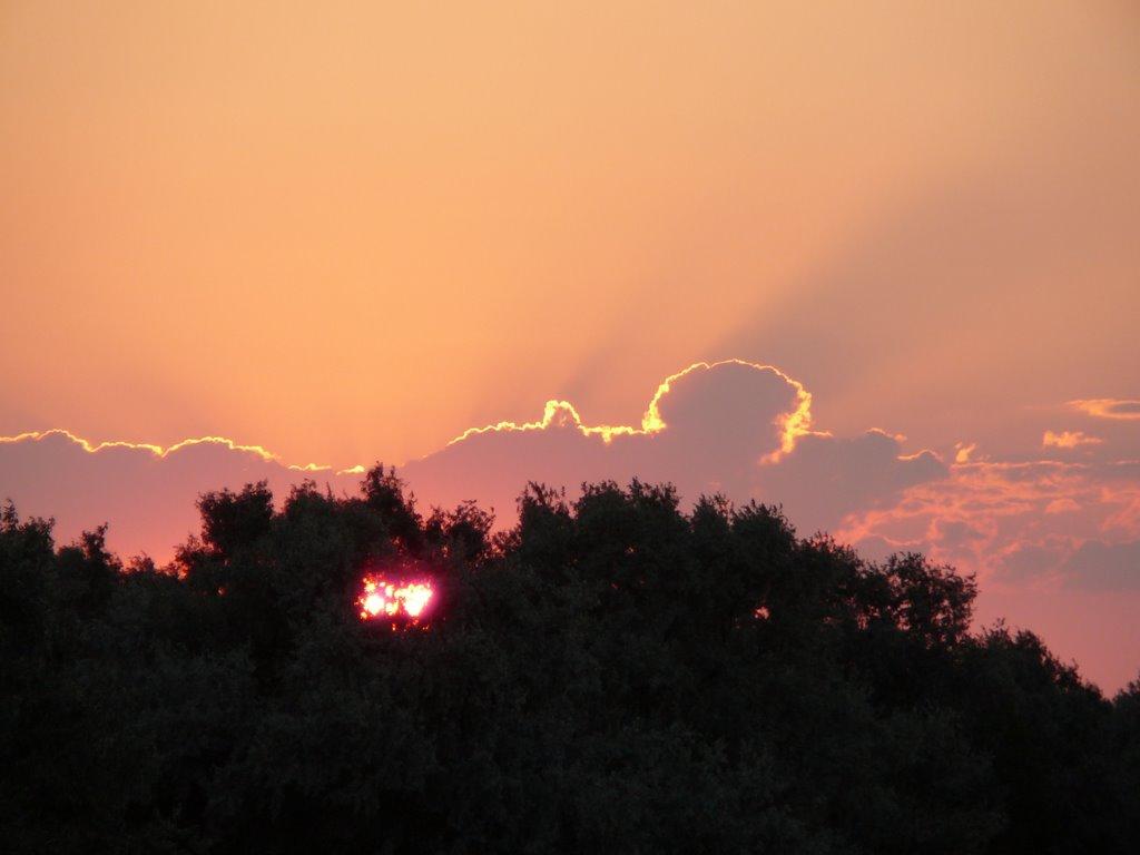 Покровське з panoramio.com - Покровське