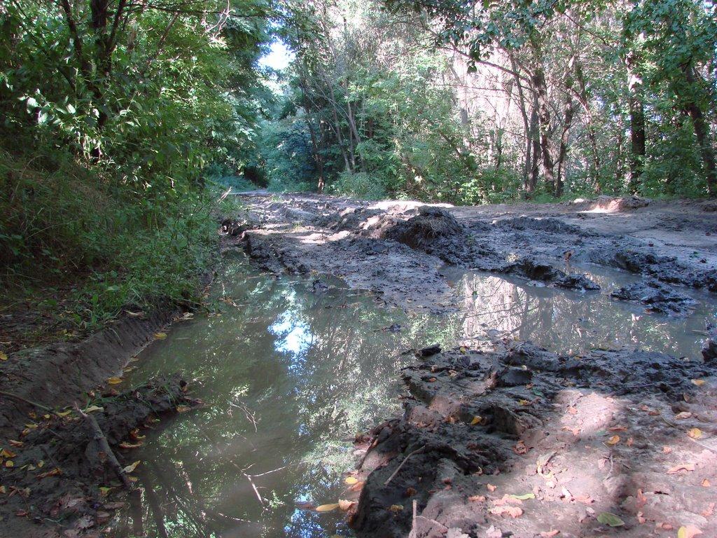 Розльоти з panoramio.com - Розльоти