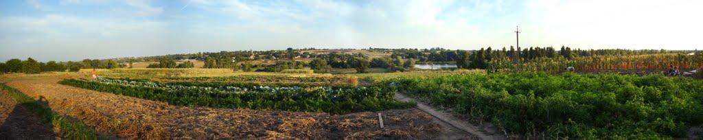 Вершина Друга з panoramio.com - Вершина Друга