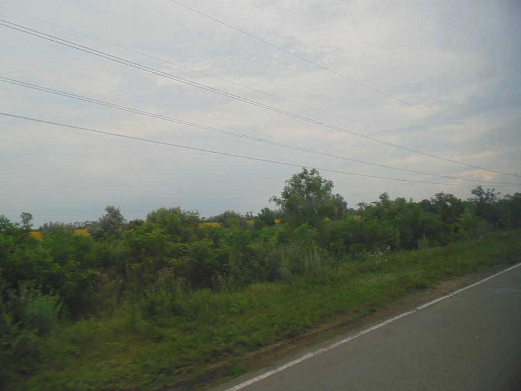 Сонячне з panoramio.com - Сонячне