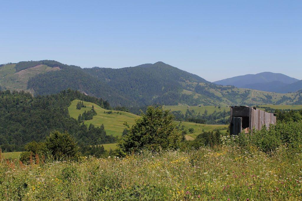 Стригальня з panoramio.com - Стригальня