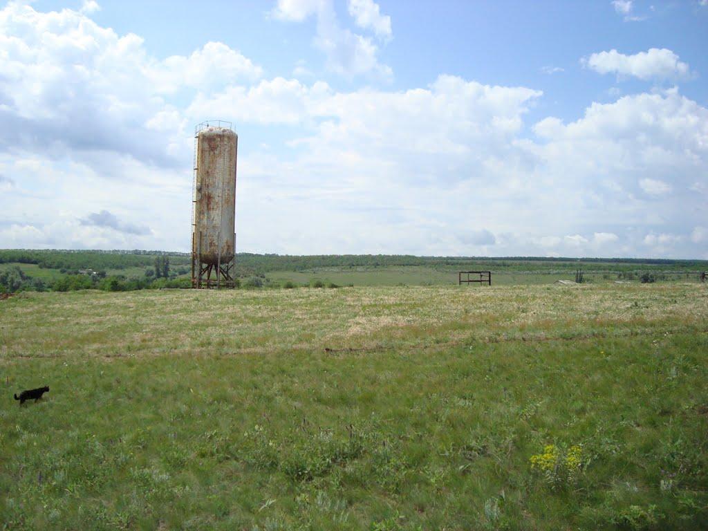 Білоцерківка з panoramio.com - Белоцерковка