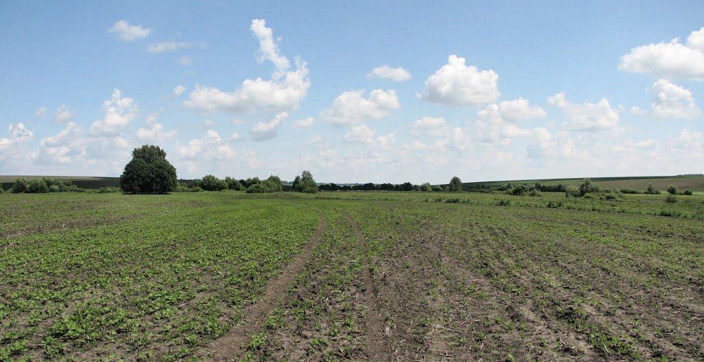 Давидківці з panoramio.com - Давидківці