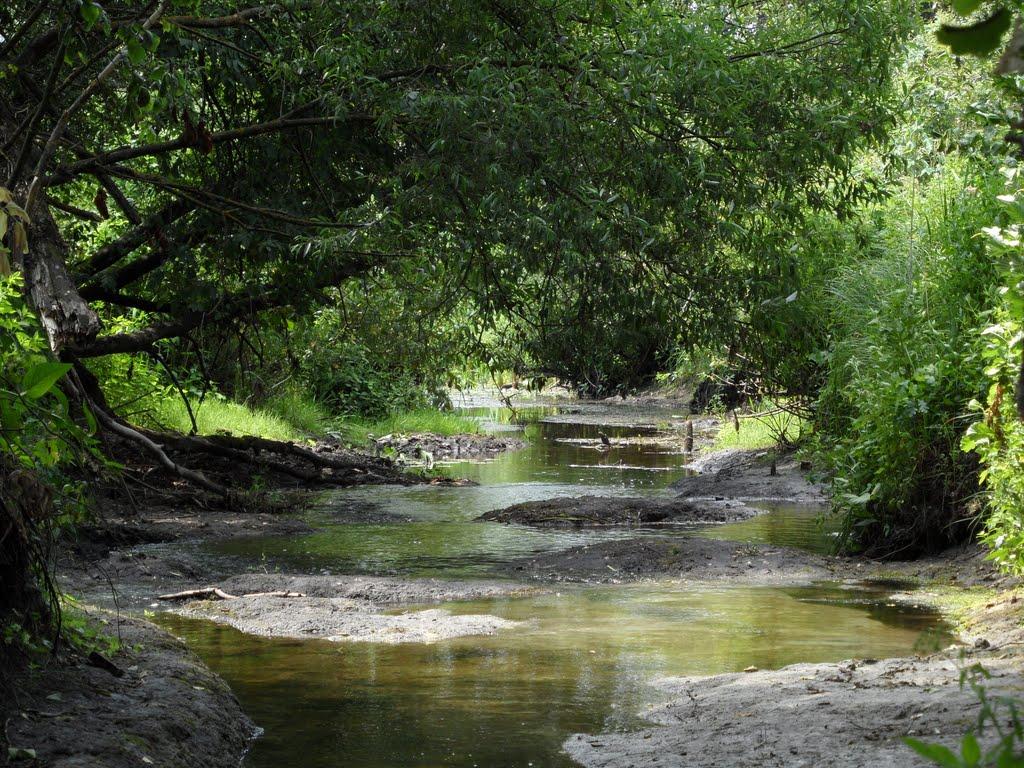 Литовка з panoramio.com - Литовка