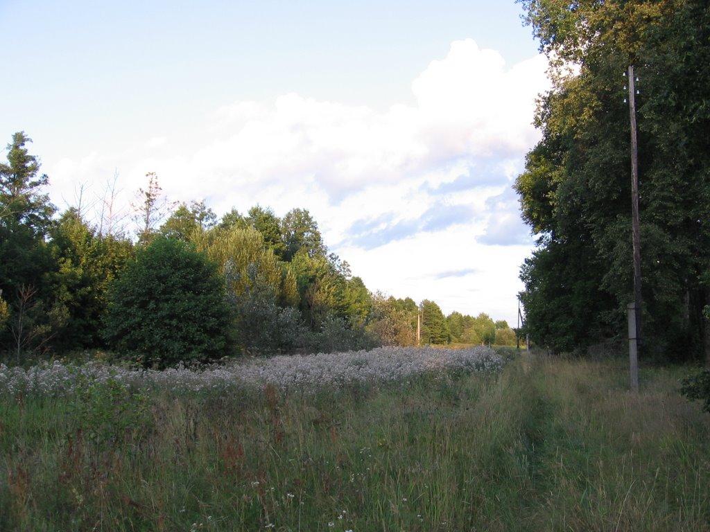 Ракужа з panoramio.com - Ракужа