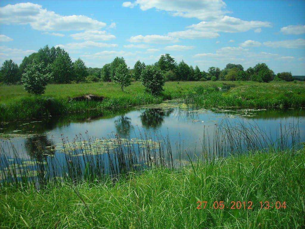 Рокитне з panoramio.com - Рокитне