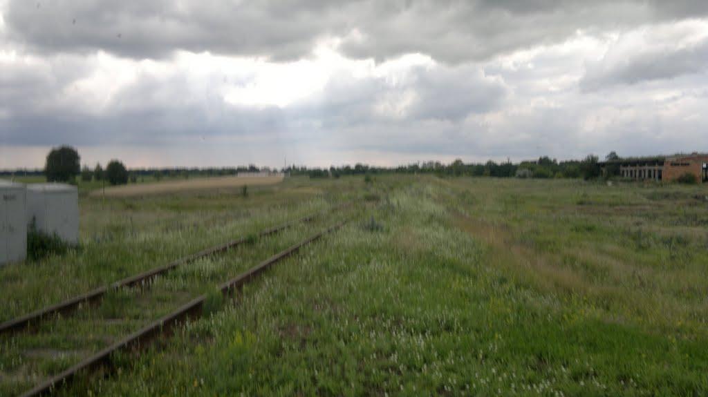 Гладківщина з panoramio.com - Гладківщина