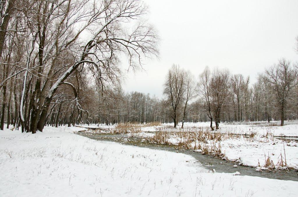 Кремінна з panoramio.com - Кремінна