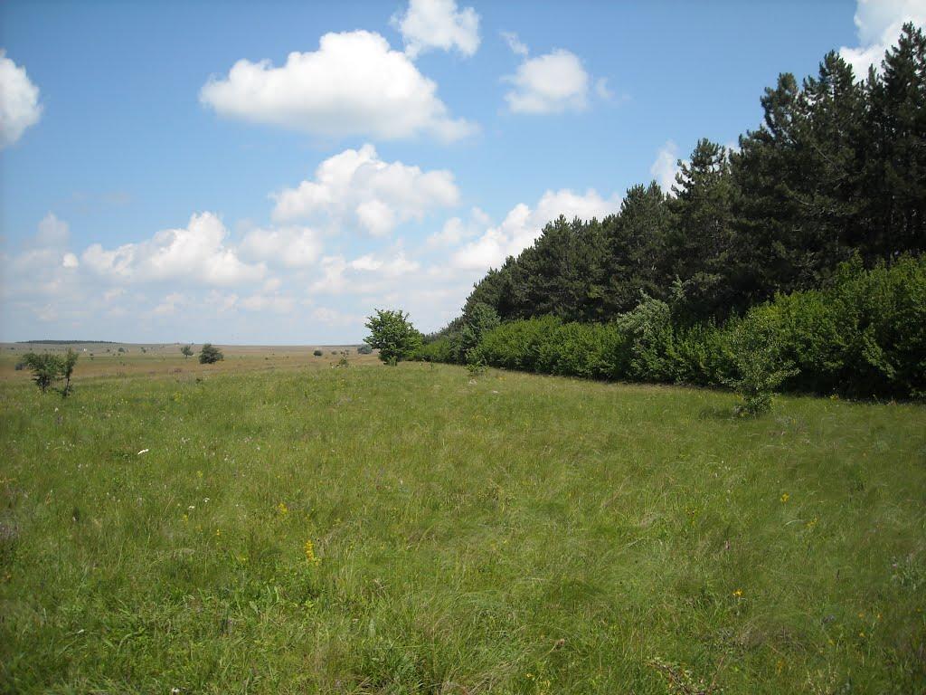 Яковлівка з panoramio.com - Яковлевка
