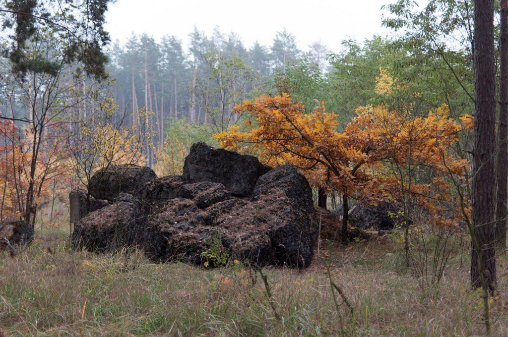 Гута-Межигірська з panoramio.com - Гута-Межигірська