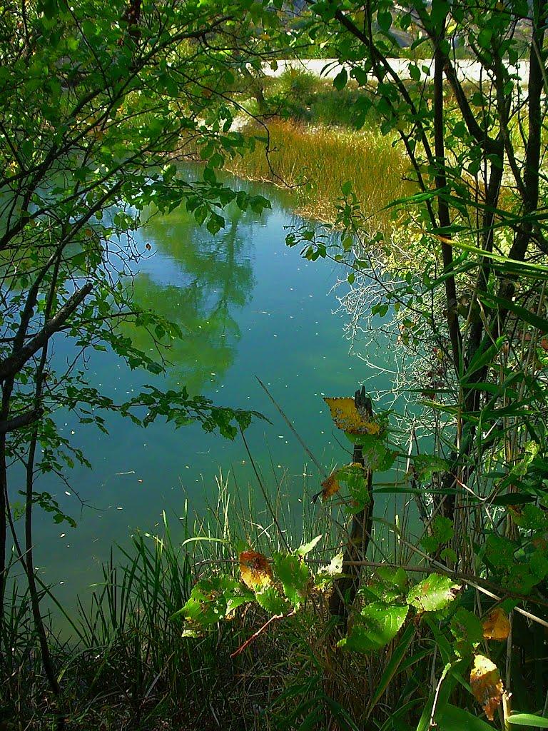 Красний Мак з panoramio.com - Красный Мак