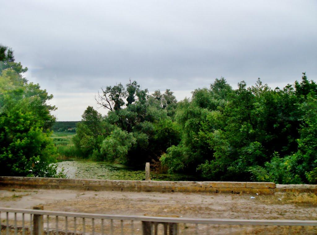 Неморож з panoramio.com - Неморож