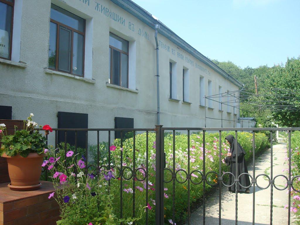 Учебне з panoramio.com - Учебное