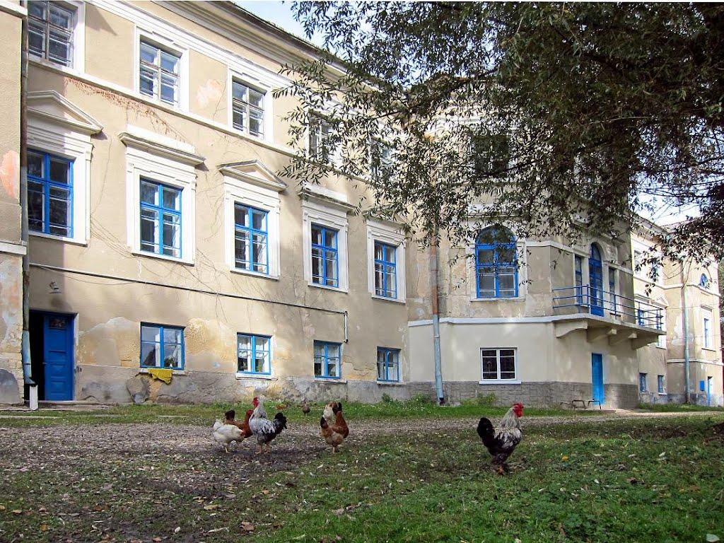 Плотича з panoramio.com - Плотыча