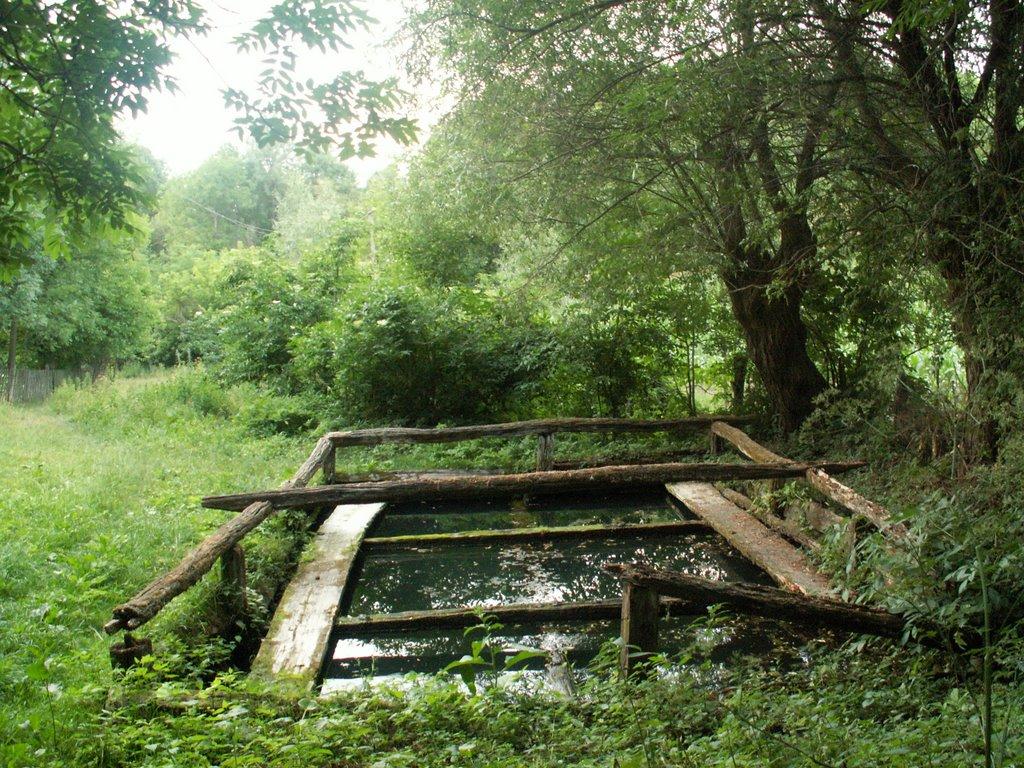 Крикливець з panoramio.com - Крикливець