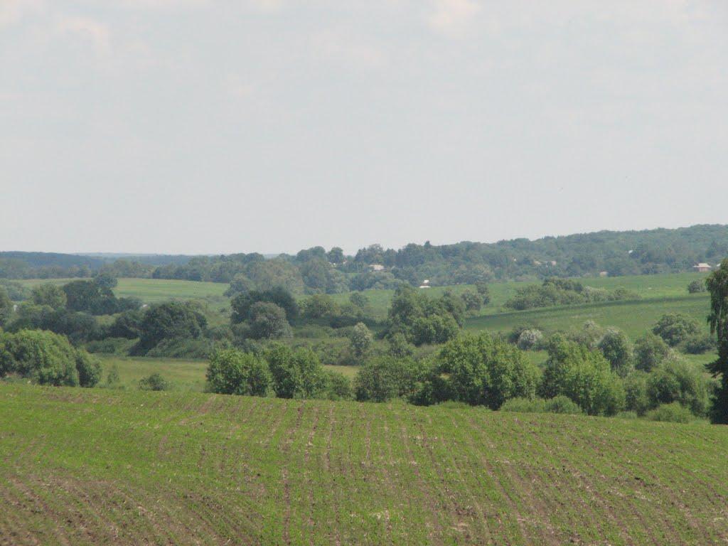 Давидківці з panoramio.com - Давидківці