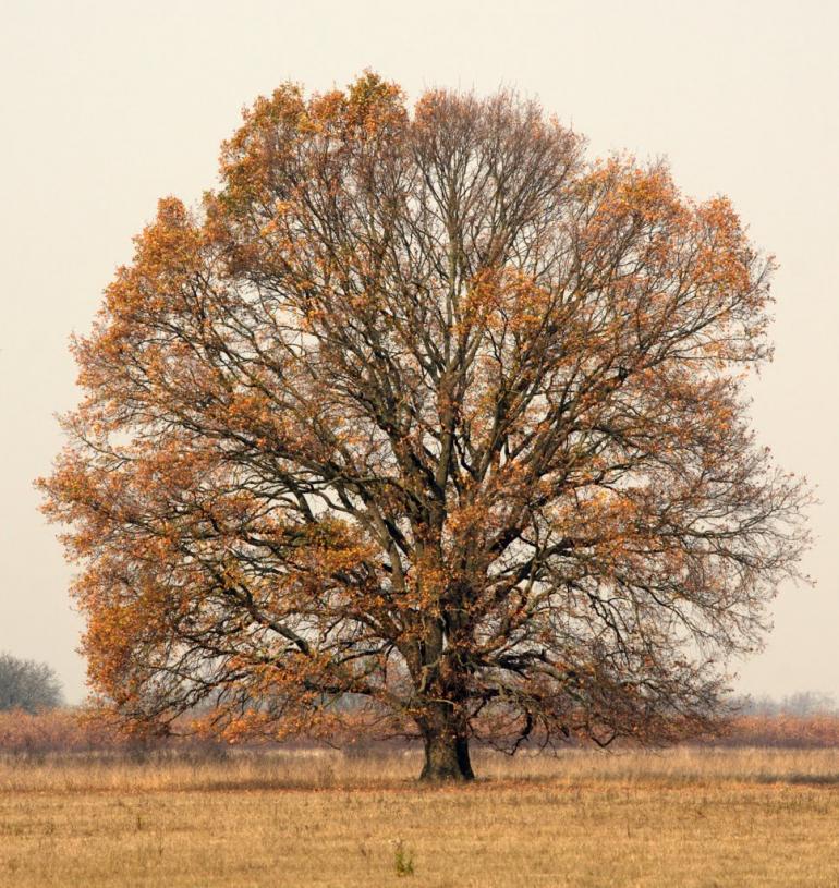 Мале Попово з panoramio.com - Малое Поповое