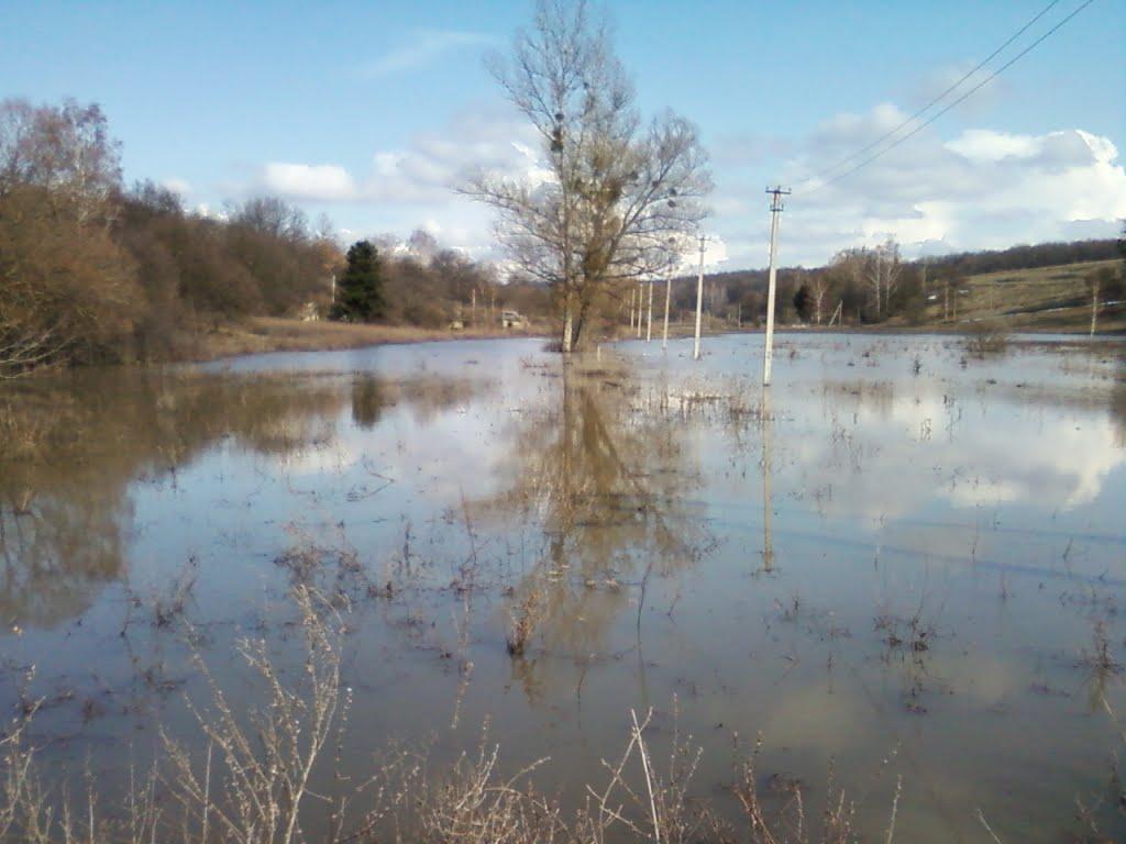 Храпачів Яр з panoramio.com - Храпачів Яр