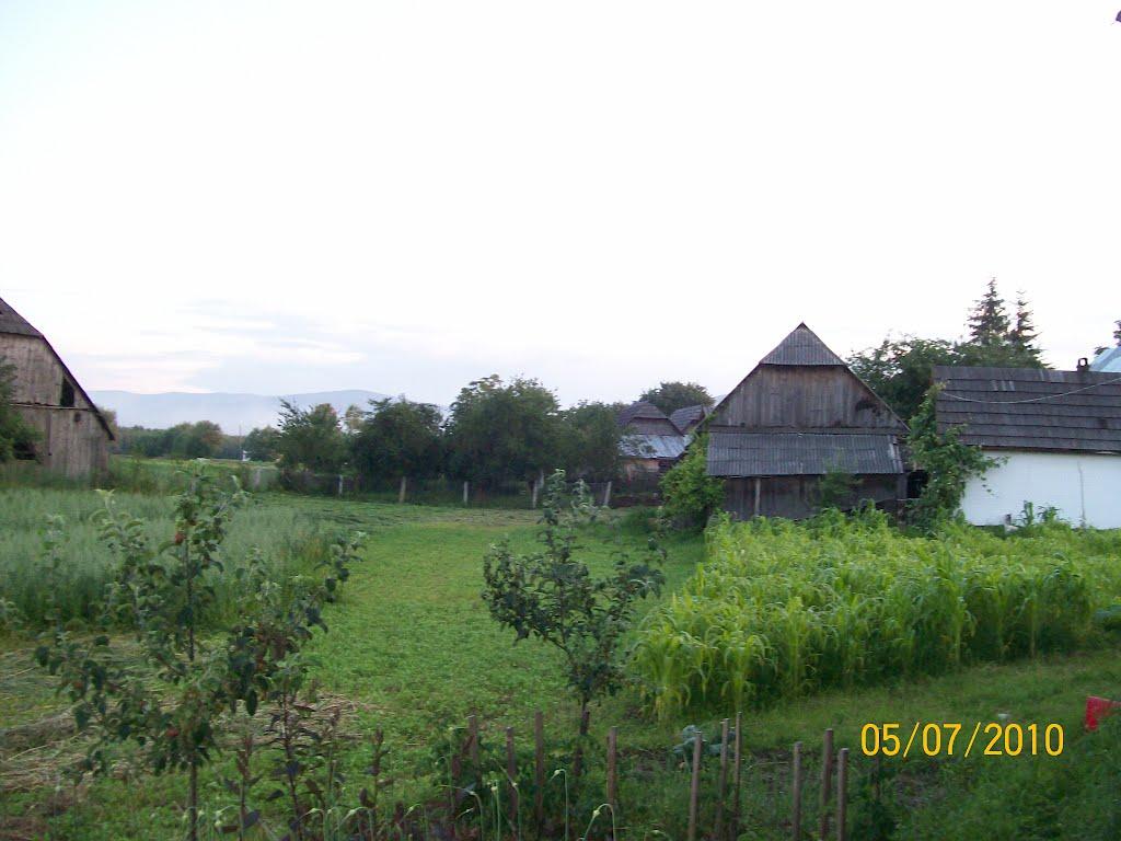 Корчівці з panoramio.com - Корчівці