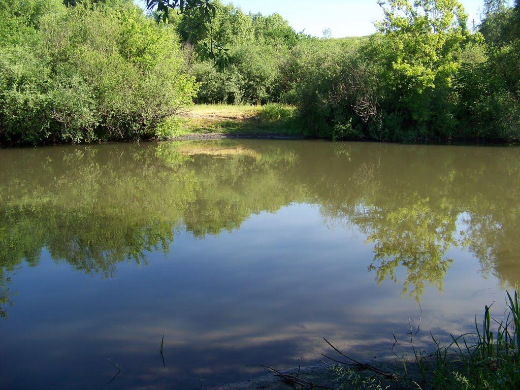 Угринь з panoramio.com - Угринь