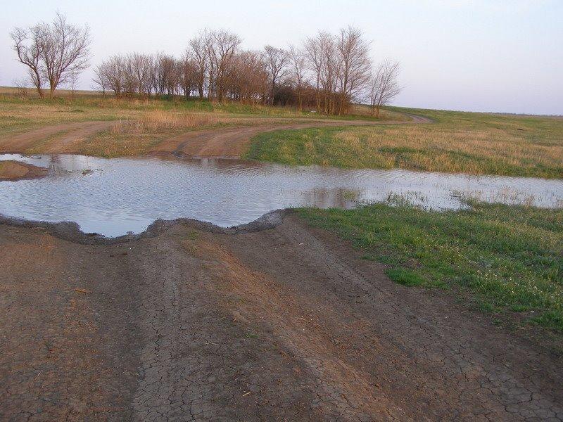 Маківка з panoramio.com - Маківка