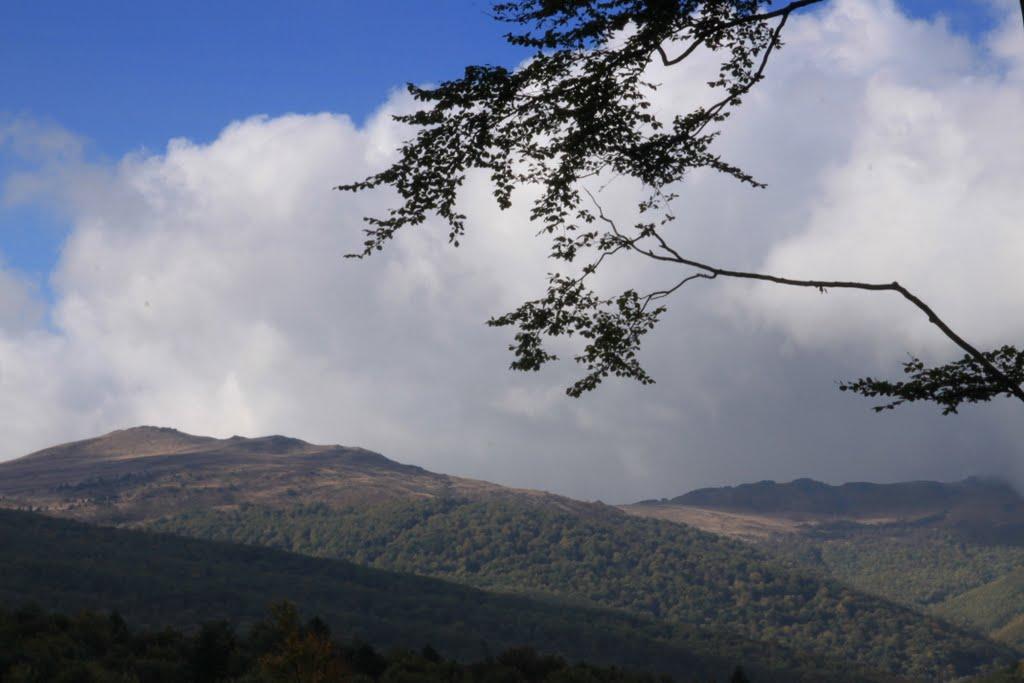 Верховина-Бистра з panoramio.com - Верховина-Бистра