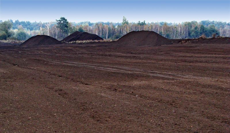 Мале Старосілля з panoramio.com - Мале Старосілля