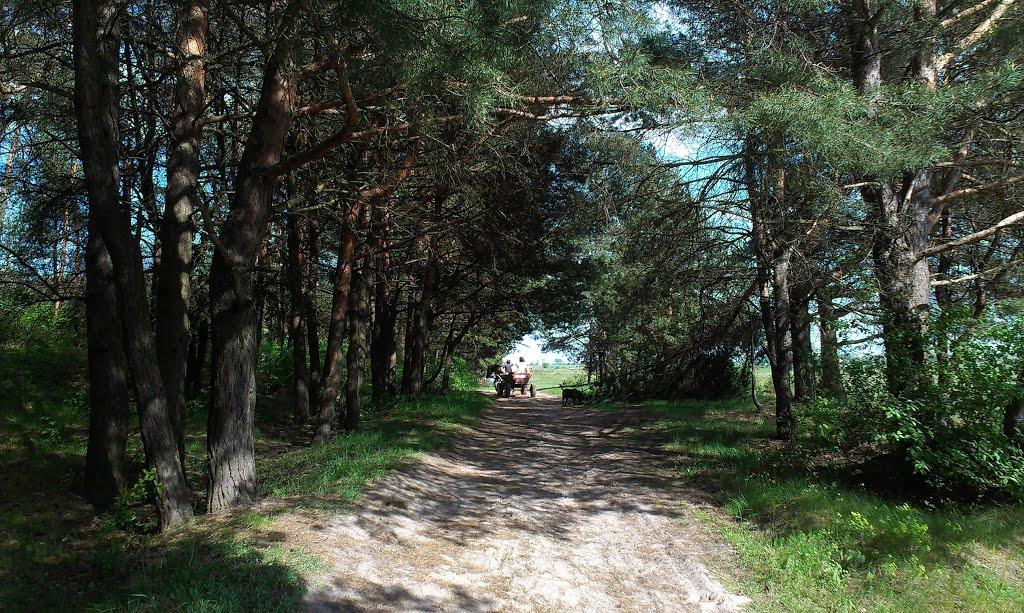 Козлин з panoramio.com - Козлин