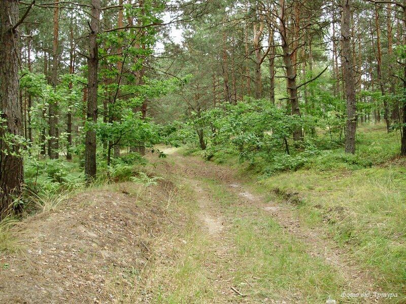 Світязь з panoramio.com - Свитязь