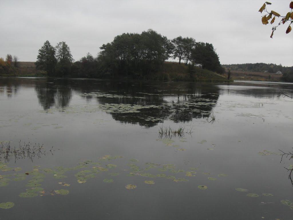 Решуцьк з panoramio.com - Reshutsk