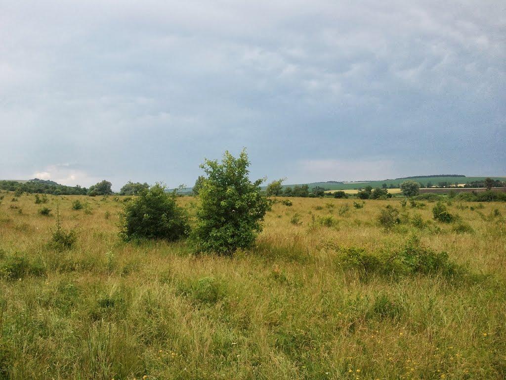 Новоукраїнка з panoramio.com - Новоукраїнка