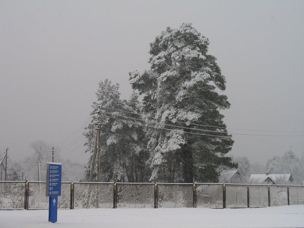 Дольськ з panoramio.com - Дольск