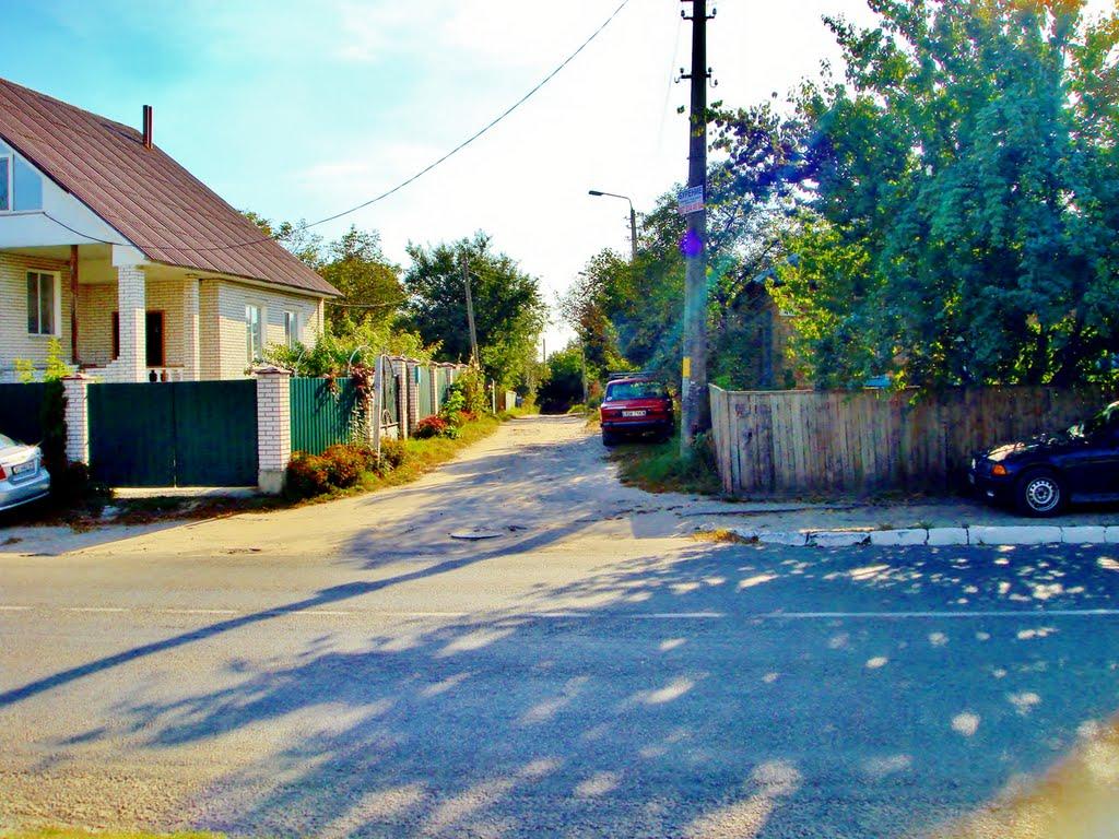 Димер з panoramio.com - Дымер