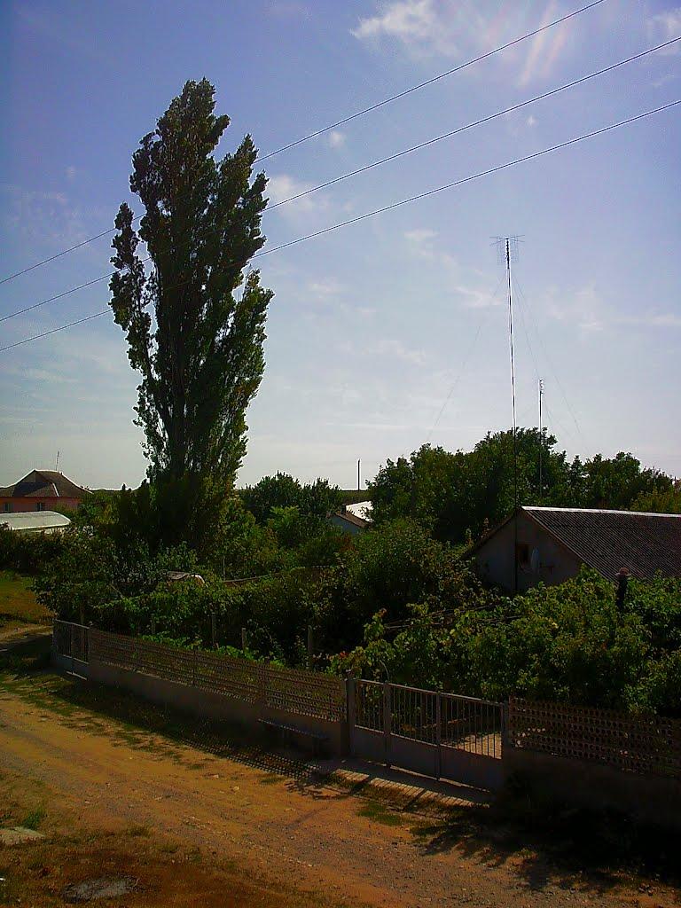 Кочергіне з panoramio.com - Кочергино