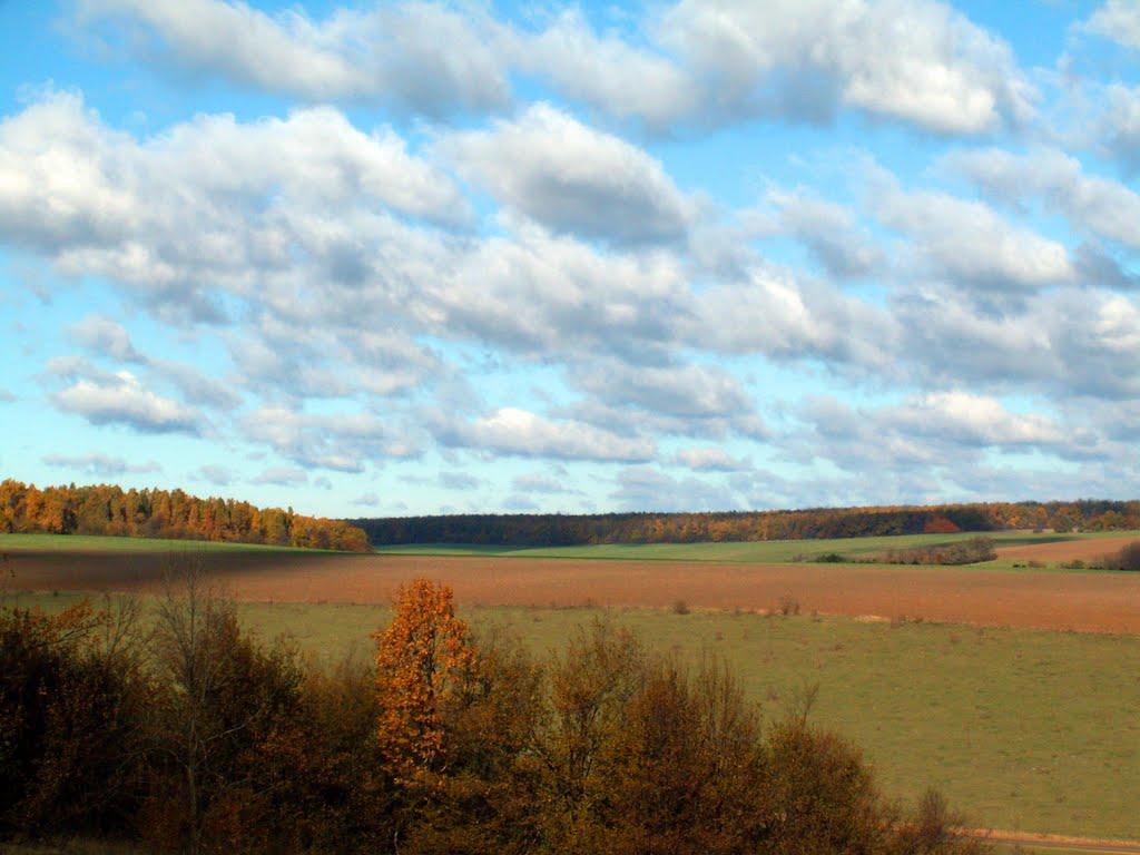 Крикливець з panoramio.com - Крикливець