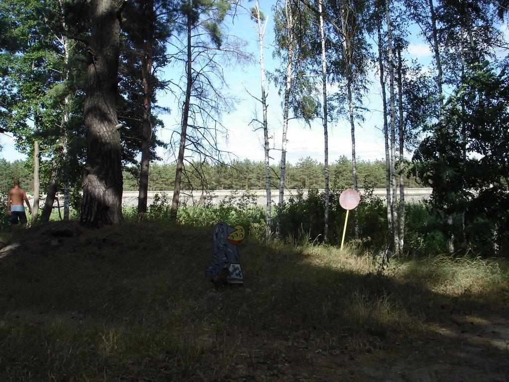 Осещина з panoramio.com - Осещина