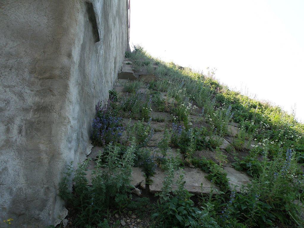 Голубівське з panoramio.com