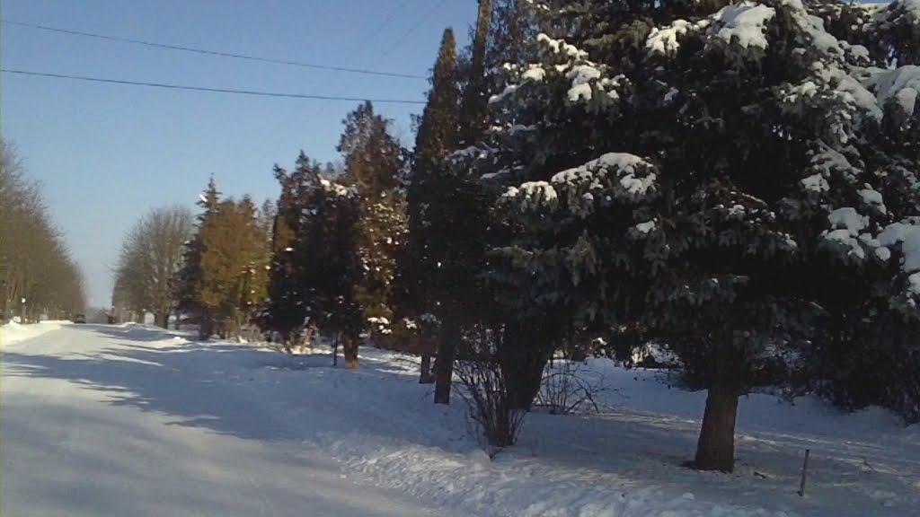 Вишневе з panoramio.com - Вишневе