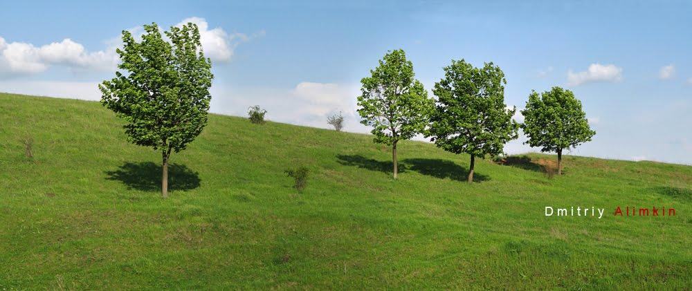 Олександрівка з panoramio.com - Oleksandrivka